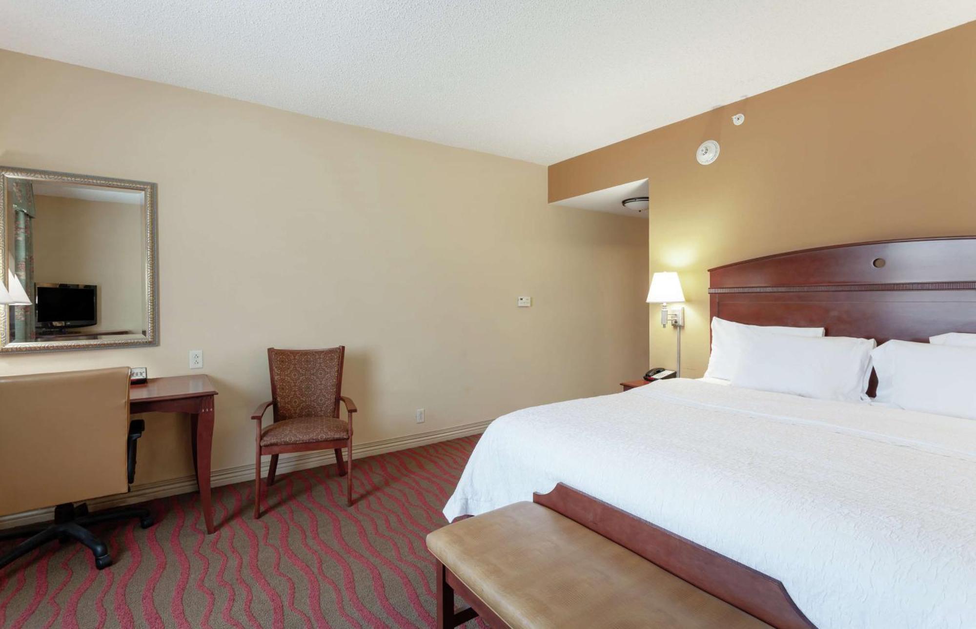 Hampton Inn & Suites Port Richey Bagian luar foto