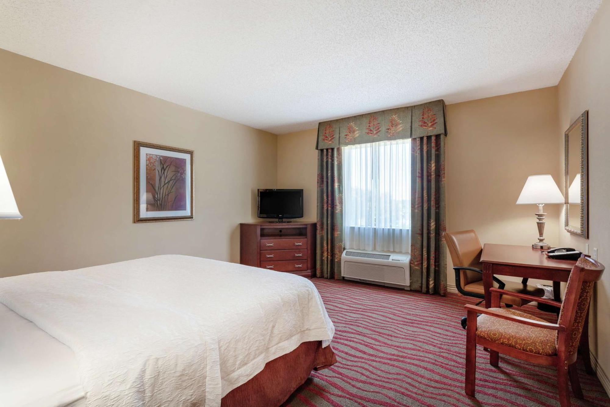 Hampton Inn & Suites Port Richey Bagian luar foto